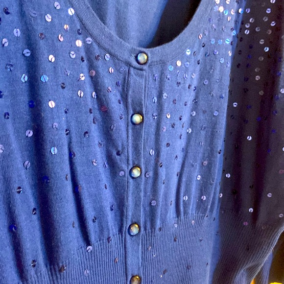 26-28W Gorgeous Lane Bryant Sweater with Sequin Detail - Picture 5 of 7